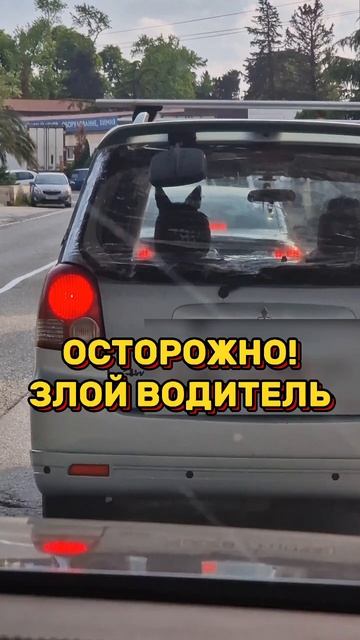Ну всякое бывает на дороге😂 #dven #авто #юмор #приколы #прикол #автоприколы #fun #смешное #car #соб