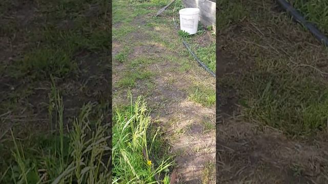 4 часть лагеря 🏕️🏕️