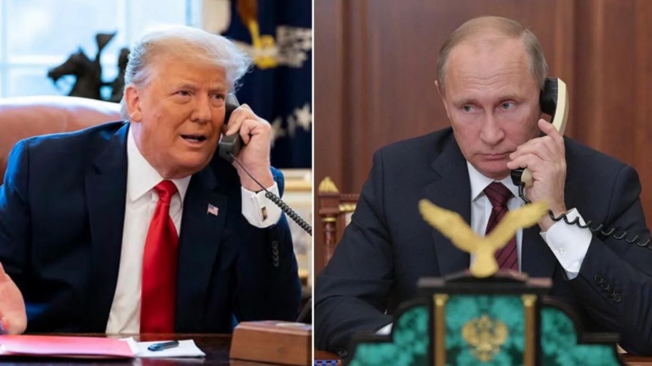 Стало известно о панике на Западе после телефонного разговора Путина и Трампа.