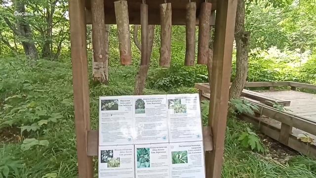 Южно-Сахалинский ботанический сад. Лето 2024 года.mp4