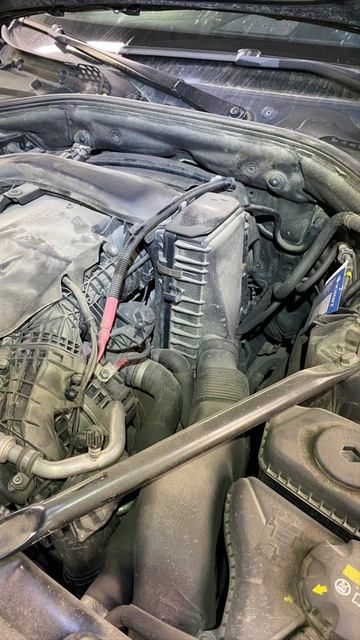 Мойка двигателя и подкапотного пространства BMW 5  #bmw5  #bmw  #мойкадвигателя  #сзао  #тушино