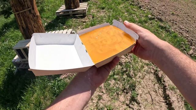 Пчелы приехали! Наша пасека начинает жить