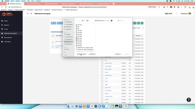 Анимация сайта в Elementor Pro (Lottie)