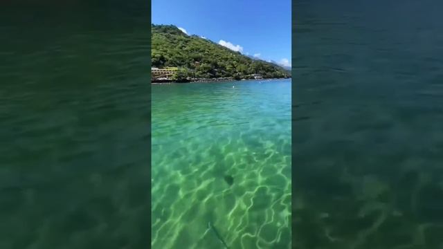 1000001542.mp4