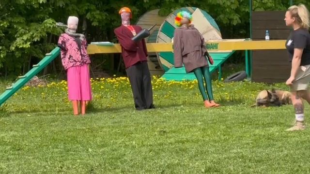 Чемпионат РКФ по мондьоринг 1. Лампасова Оксана и Джанико Жазира 193.5 б 3 место