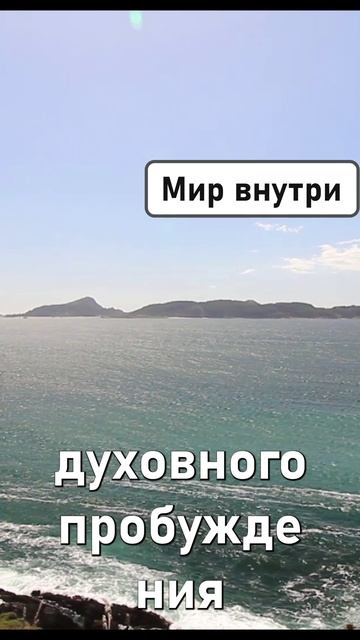 💖 МОЩЬ БЛАГОДАРНОСТИ! Перезагрузка сознания 🌀 #shorts #законывселенной