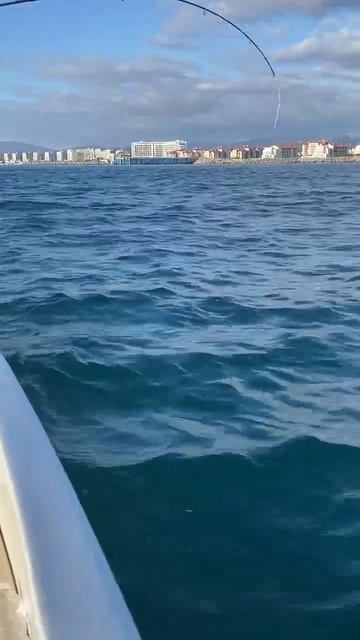 Вырывает спиннинг из рук. Рыбалка в Сочи. #рыболовныйг?