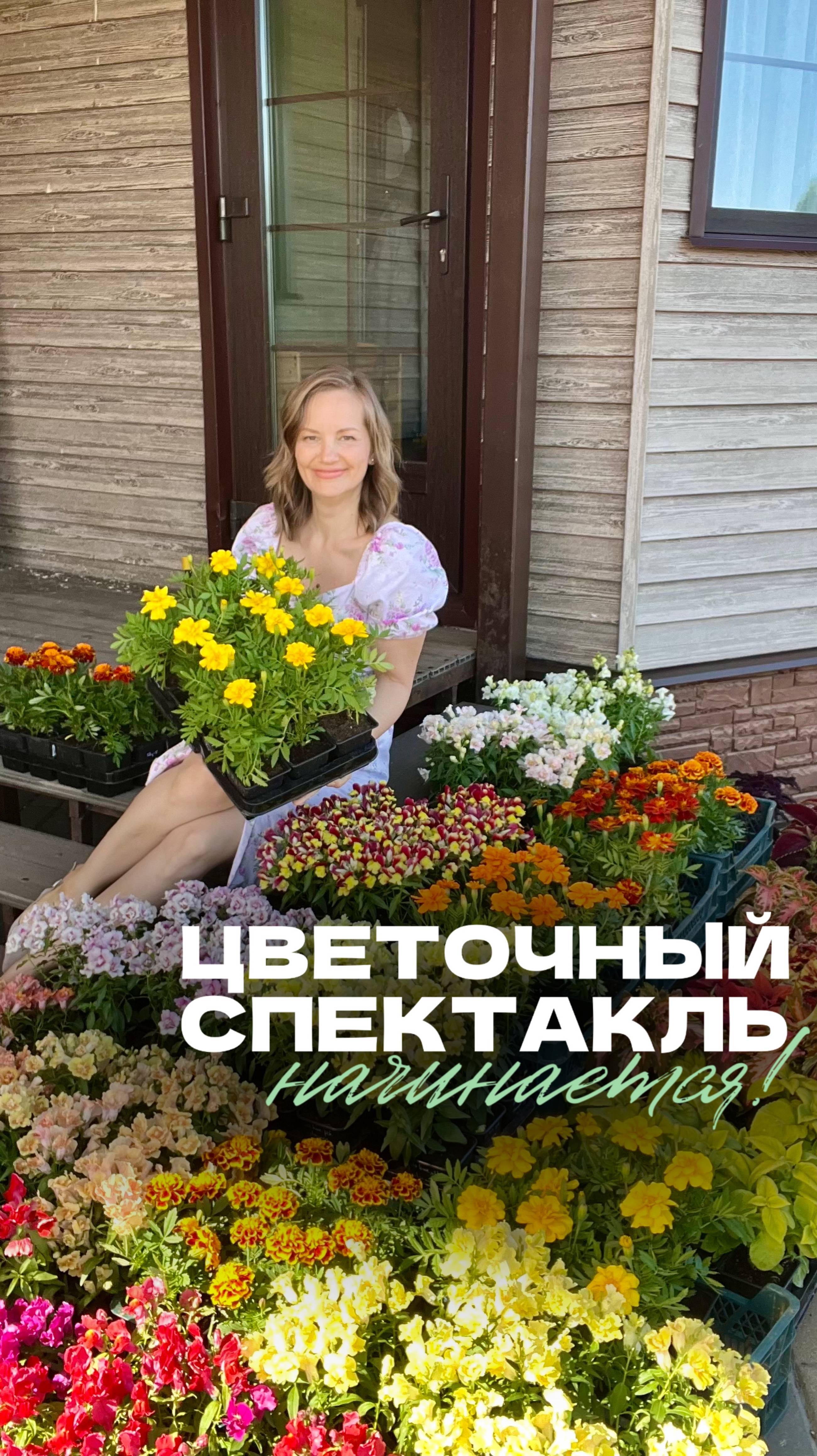 🎭 Цветочный спектакль начинается!