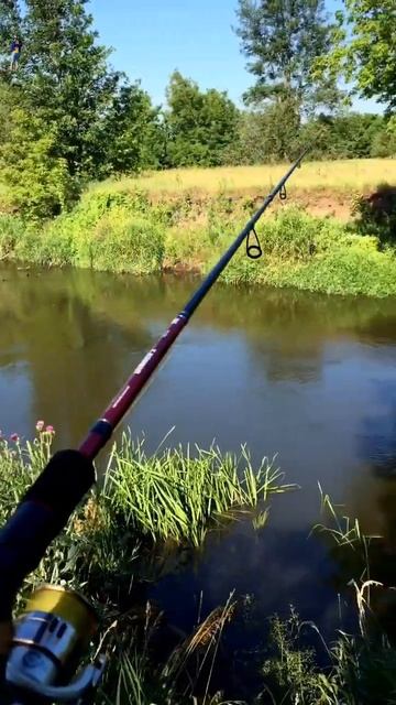 Подпишись на канал #всемдобра#2024#татарстан#fishing#рыбалк