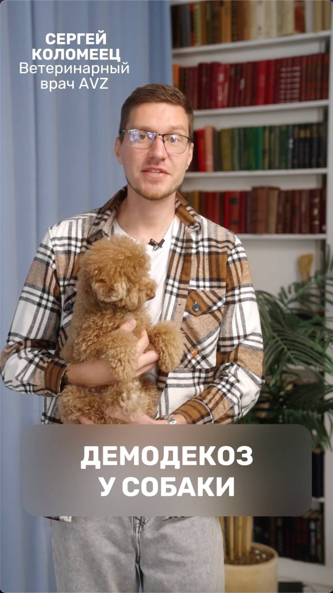 Демодекоз у собаки