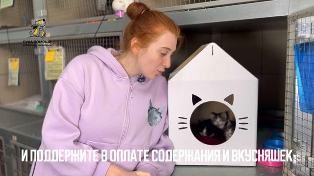 Эту троицу обнаружили случайно ночью в кустах.      
 Поддержать⬇️