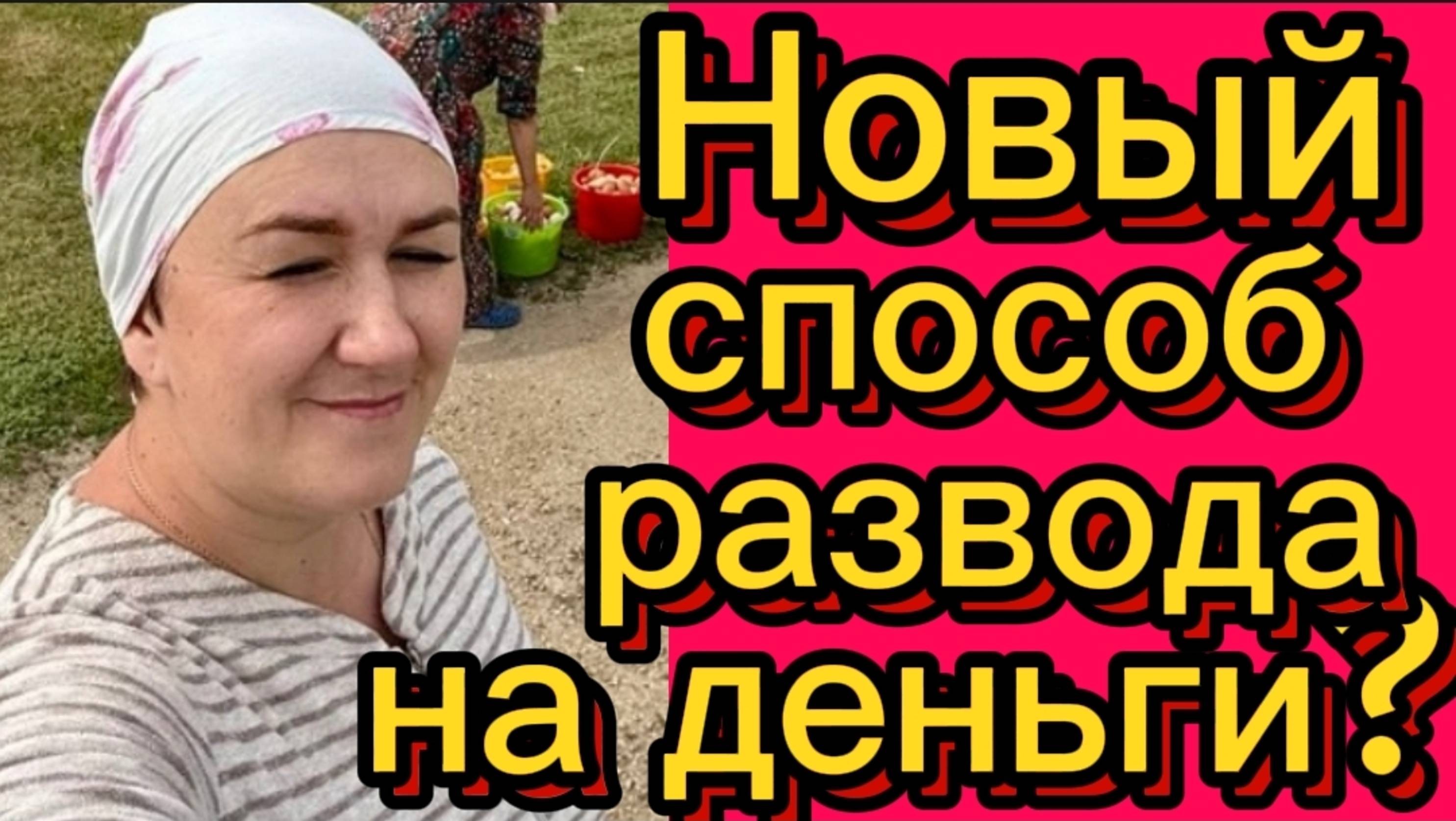Новый способ развода?Собираем и делим... Деревенский дневник.