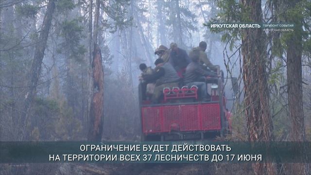 Ограничения на посещение лесов ввели в Иркутской области с 5 июня