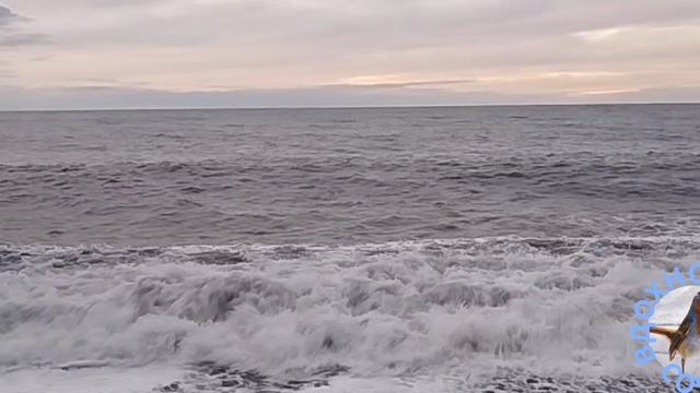 "ЧЕРНОЕ МОРЕ" - музыка Сочи.
Автор Елена Бучина.