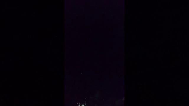 А птичка все поёт и поёт красиво, даже ночью