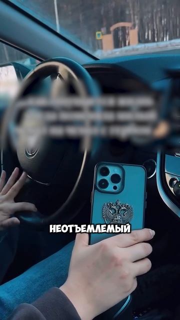 ТРЕНД НА ГЕРБ РОССИИ НА ЧЕХЛЕ #тренд #тренды #герб #Россия