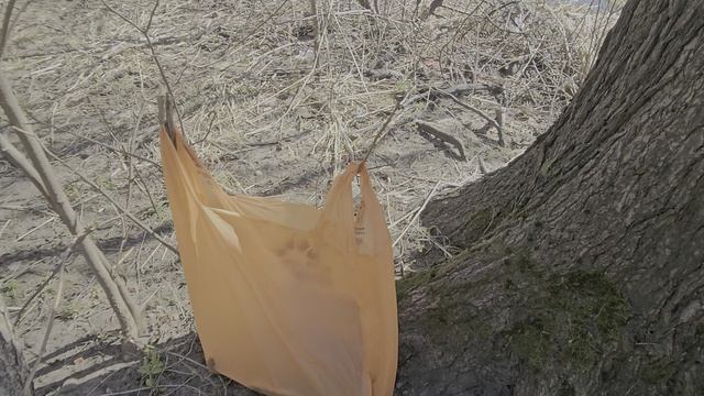 Сестрорец. .Окунь.Апрель.2025 год.