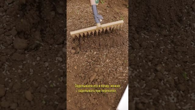 Морковь взойдет быстро и дружно! Простой способ посева на богатый урожай