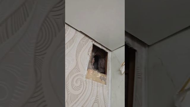 ремонт , ппц , маленький трэш