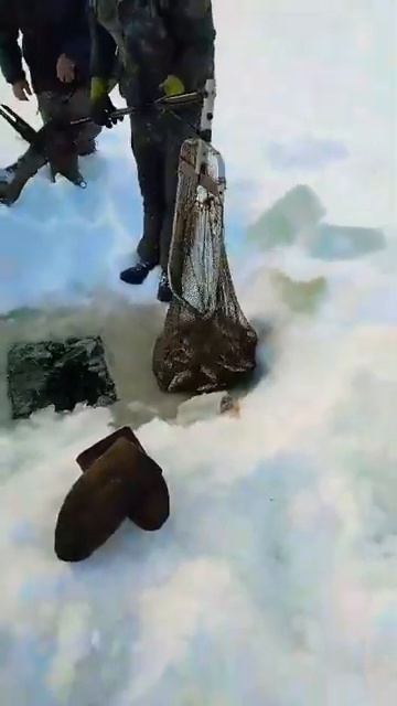 Видео с "тюнингованной" рыболовной снастью куйуур. Оди