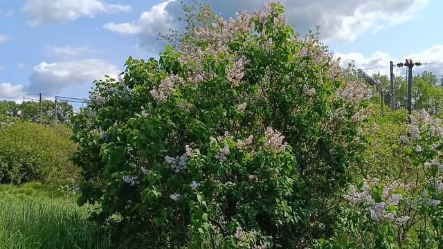 НЕКОГДА СКУЧАТЬ: ЛЕТО 🌞🌴🏄🎇 КОРОТКОЕ.