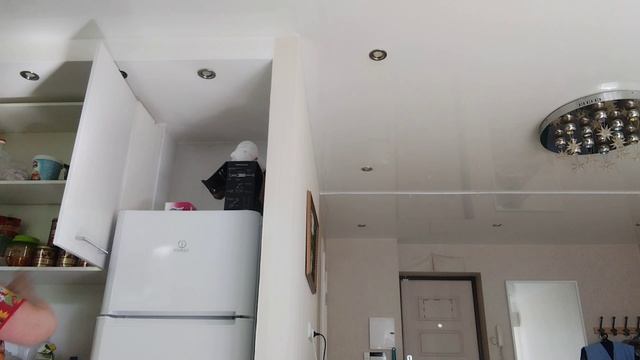 194)-05.06.25.👩Моя городская🏢жизнь 🌳.