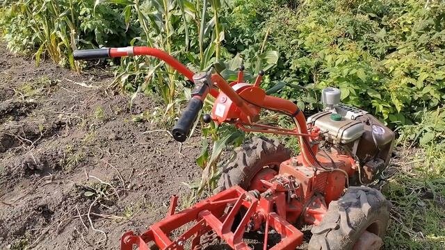 Копка картоплі 2023 старт ч 1