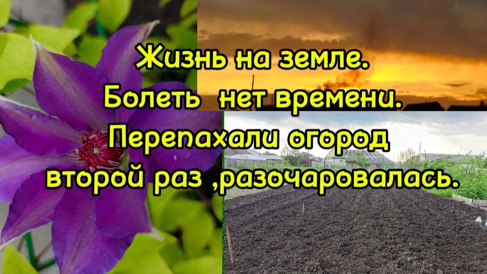 05-06-2025 Жизнь на земле.Болеть нет времени. Перепахали огород второй раз ,разочаровалась..