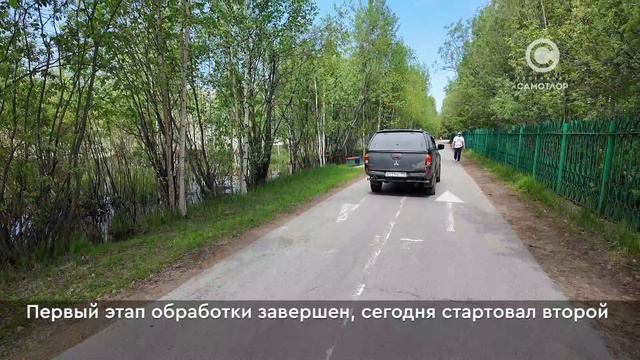 В Нижневартовске продолжается обработка общественных пространств и территорий от клещей и комаров