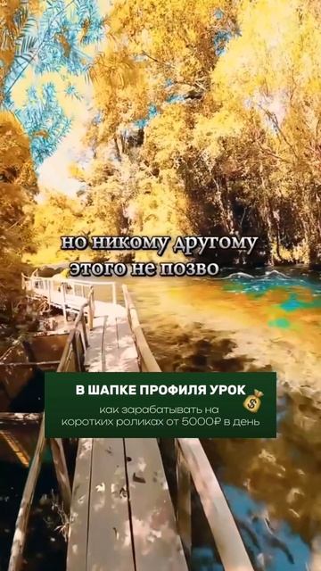 Лучший друг