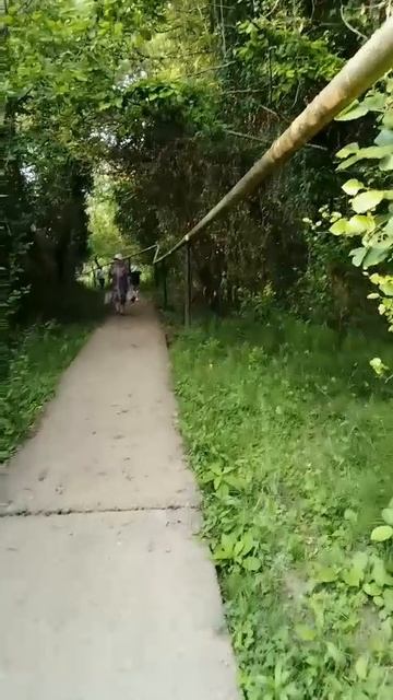 Video 20250605-13.mp4