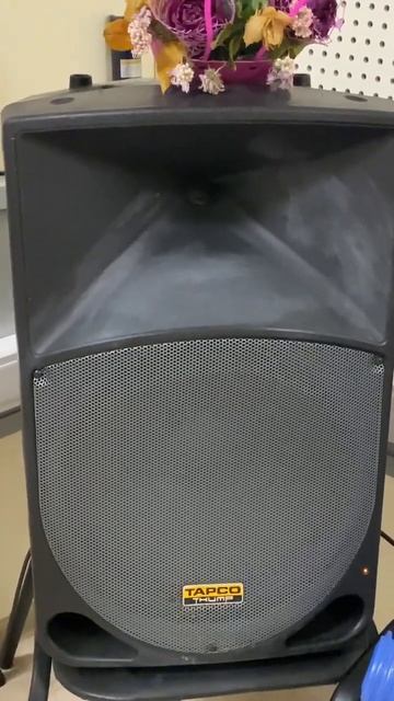 Дыхание. Звуковая колонка чудит на уроке вокала.