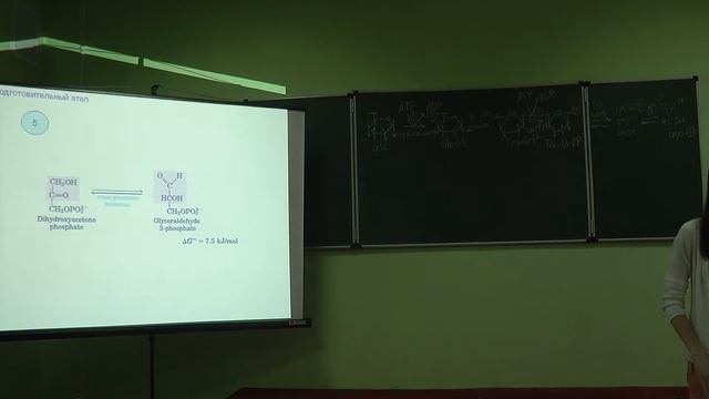 8.11.13 Биохимия - Цветкова А.Д. часть 1