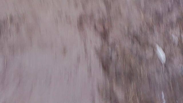 1000010492.mp4