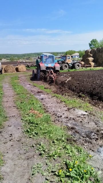 VID_20250523_124506.mp4