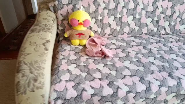 1000006064.mp4