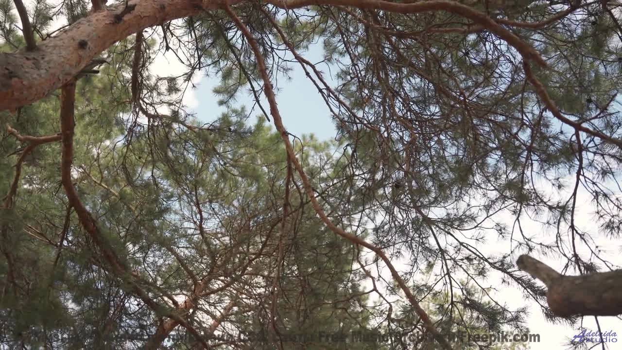 Песня, которая начинается с 'а давай поедем туда, где нас нет' - Wide Open Spaces -- HoliznaCC0 -- W