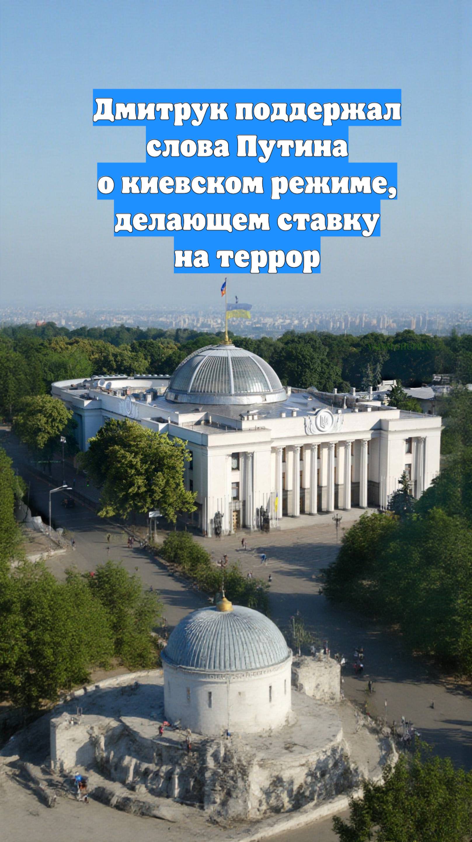 Дмитрук поддержал слова Путина о киевском режиме, делающем ставку на террор