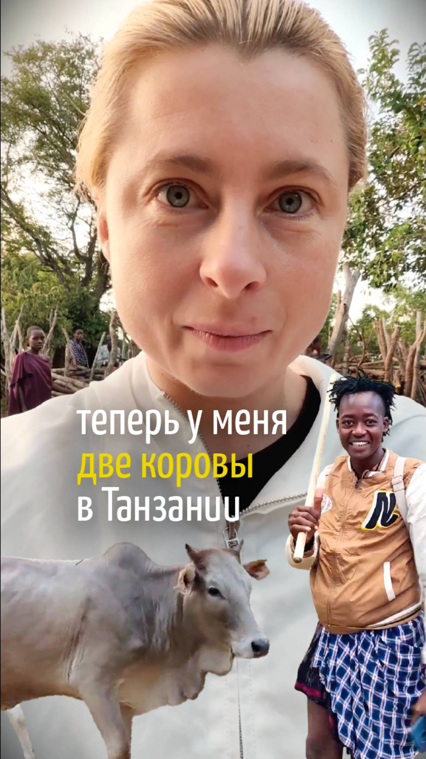Купили мне две коровы в Танзании
