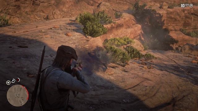 Red Dead Redemption 2   Прохождение #33