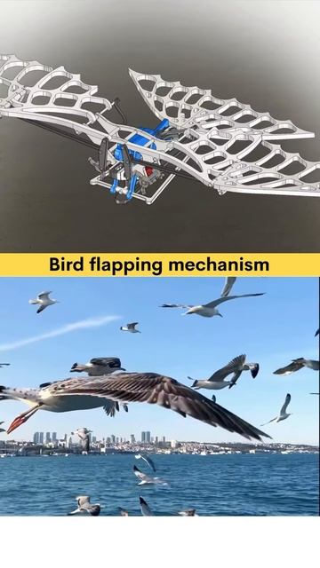 Bird Flapping Mechanism 🧑🔧🦾🦅 #cad #birds #mechanism #flapping #robotics #engineering