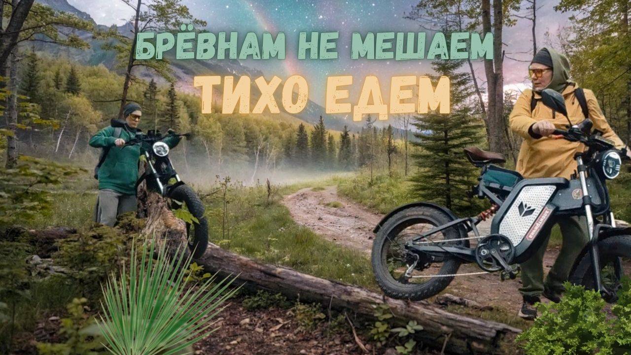 На речку на ЭЛЕКТРОВЕЛОСИПЕДАХ через ЛЕСНОЙ ВОДОПАД и кладбище | Красивые места Тульской области