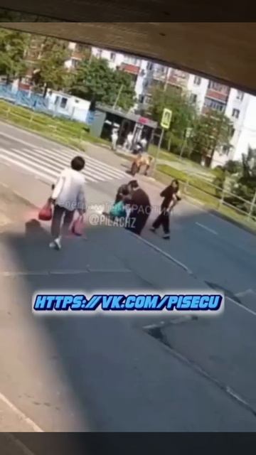 В Подмосковье цыгане заставляют своих детей бросаться под машины, чтобы потом качать водителей на...