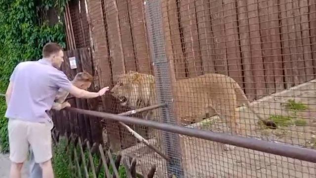 Приходите чаще... Видео от мамы
