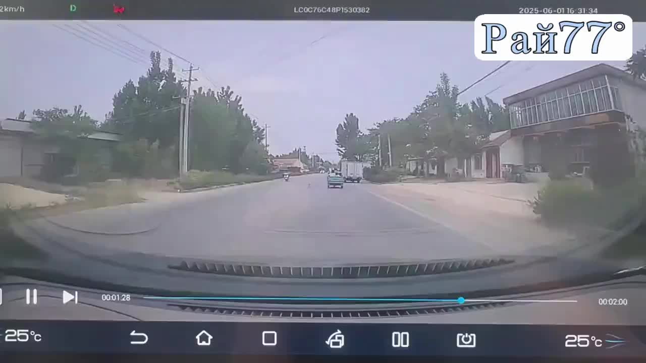 Кляча сбежала с рынка и протаранила автомобиль