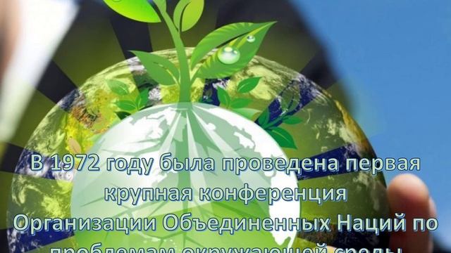 За природу в ответе и взрослые, и дети