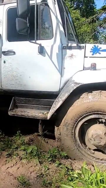 Газ 3308 замылило резину shorts #андрейкараульщиков #shortsyoutu