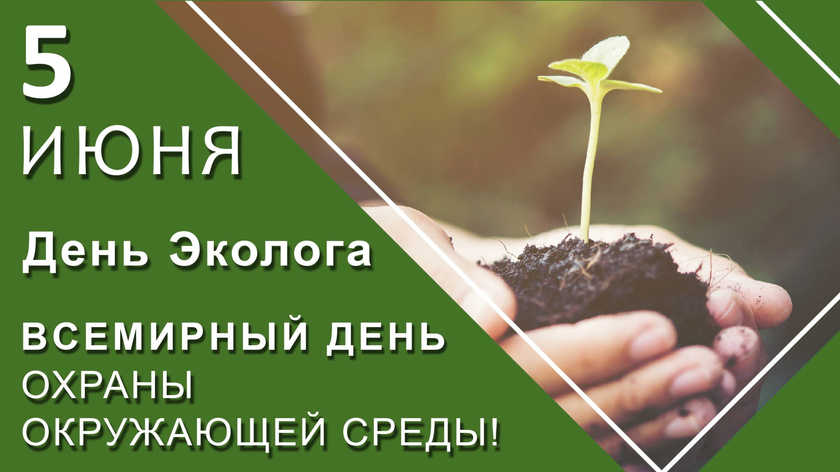 День эколога