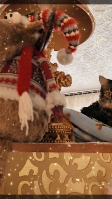 мои любимые животные 🐶😼