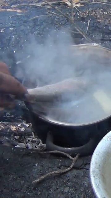 Уха на ТАЕЖНОЙ ПЕЧКЕ из жизни ОТШЕЛЬНИКА в ДЕВСТВЕННО?